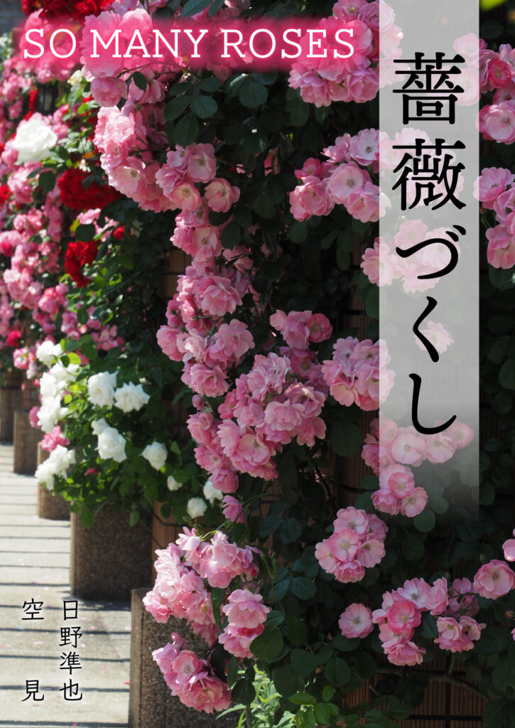 写真集　薔薇づくし：So many roses