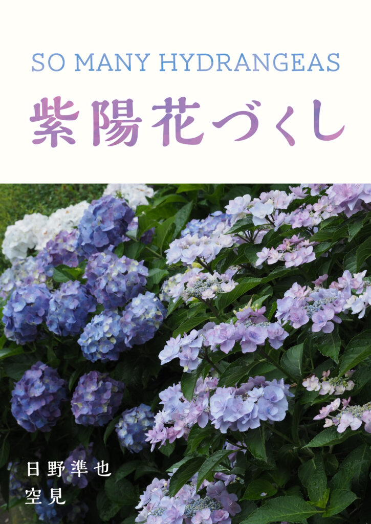 写真集　紫陽花づくし：So many hydrangeas